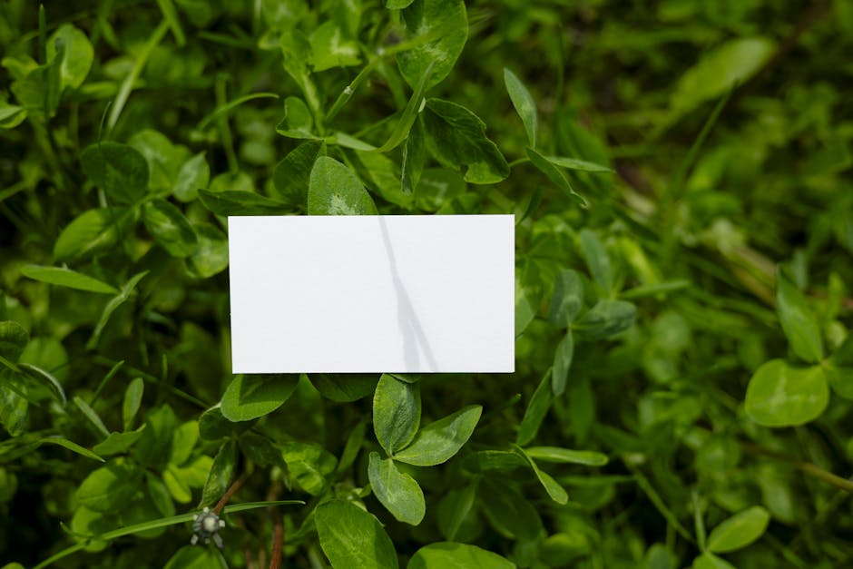 Responsive Logo Systems and Unfixed Identities: Designing Logos That Adapt Across Platforms and Contexts